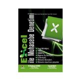 Sinemis Excel ile Muhasebe Denetimi Kitabı