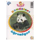 Efecan Pandaları Öğreniyor Okul Öncesi 3-6 Yaş