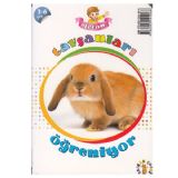 Efecan Tavşanları Öğreniyor Okul Öncesi 3-6 Yaş
